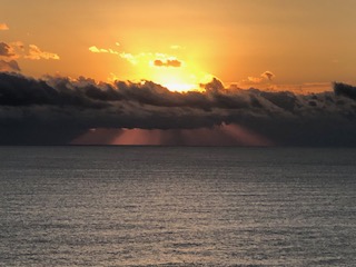 suraise-2026-new-year